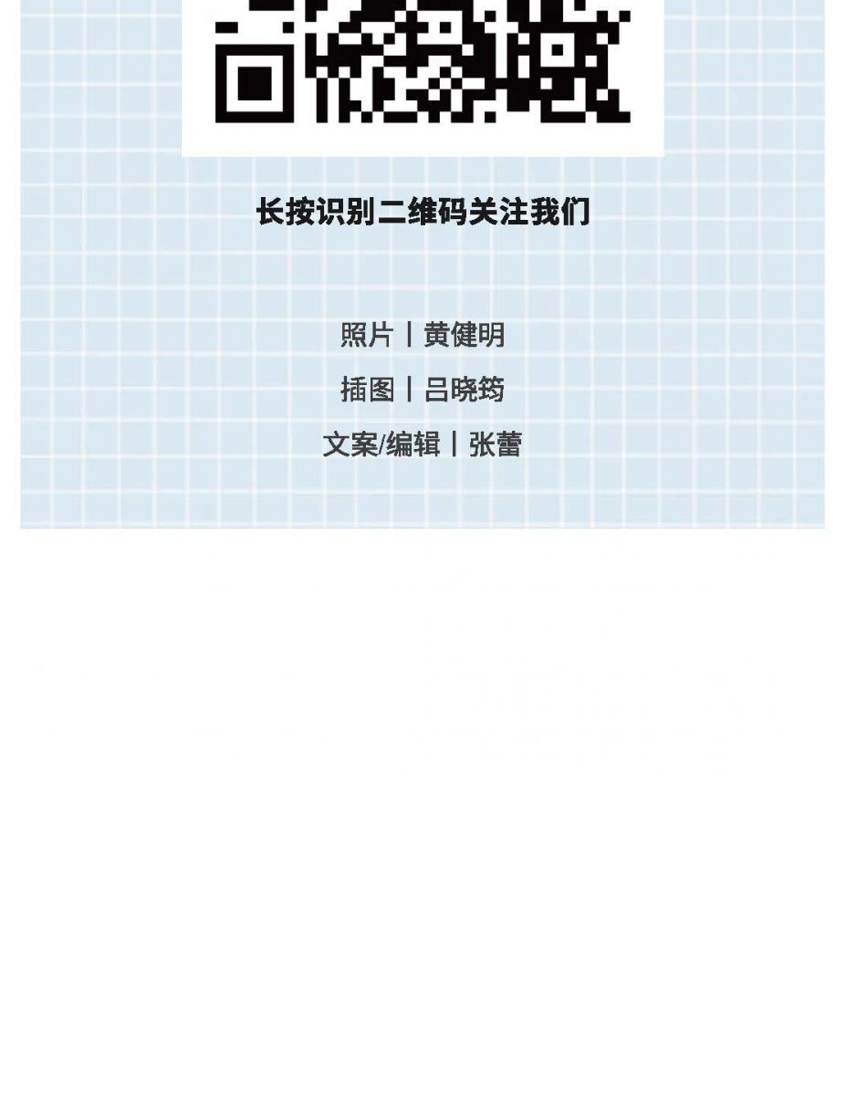@金溪人，誰“羽”爭鋒！
